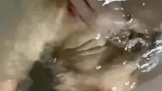 巨乳大三体育生发育的真好
